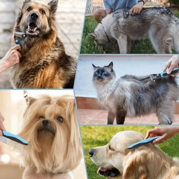 Dubbele Honden Borstel